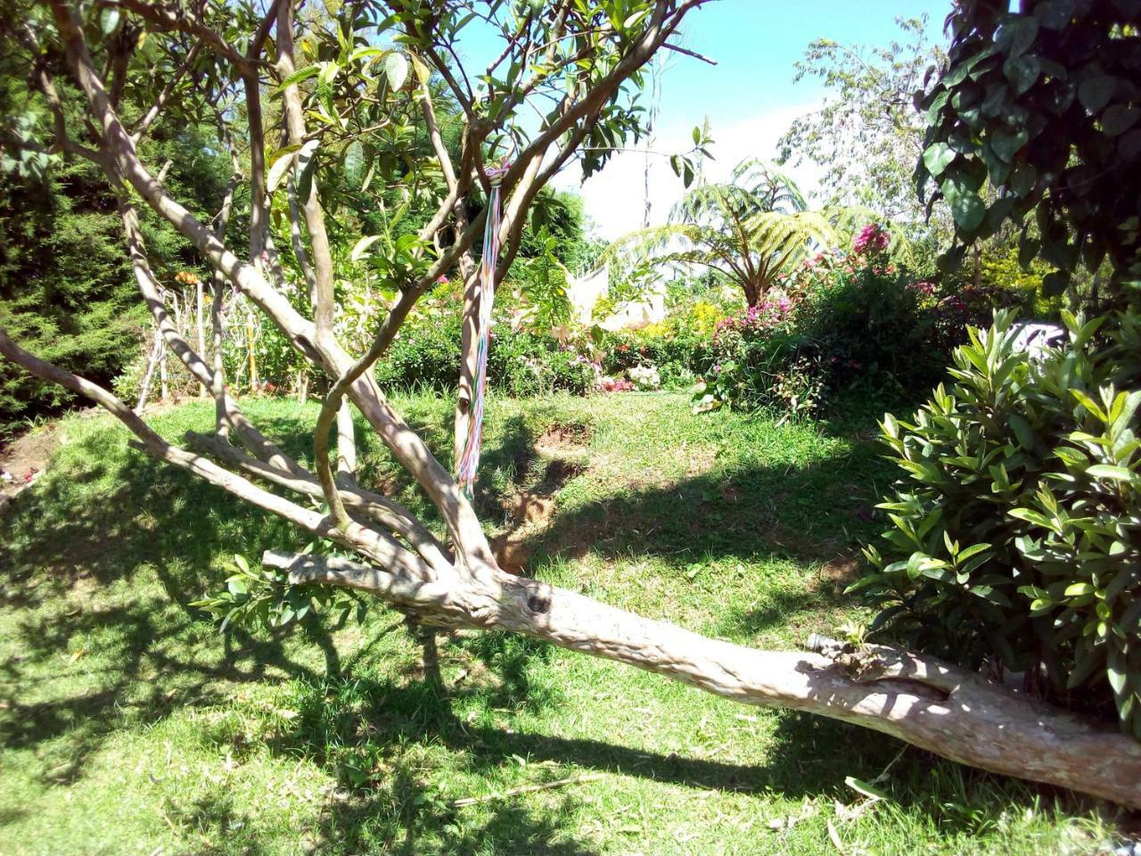 Fairy Hostel Nuwara Eliya Exterior foto